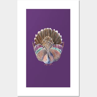 Australian Crested Pigeon Dance - Viva Magenta or purple background Posters and Art